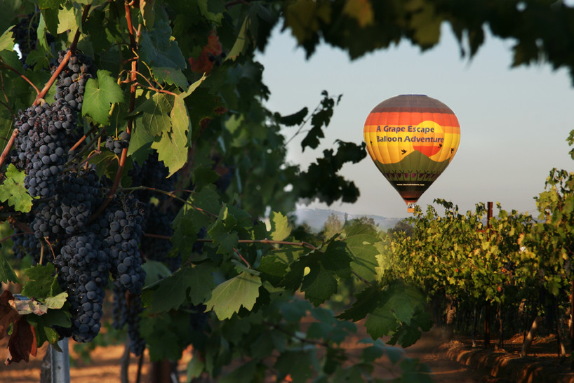 Grape Escape Balloon Adventures