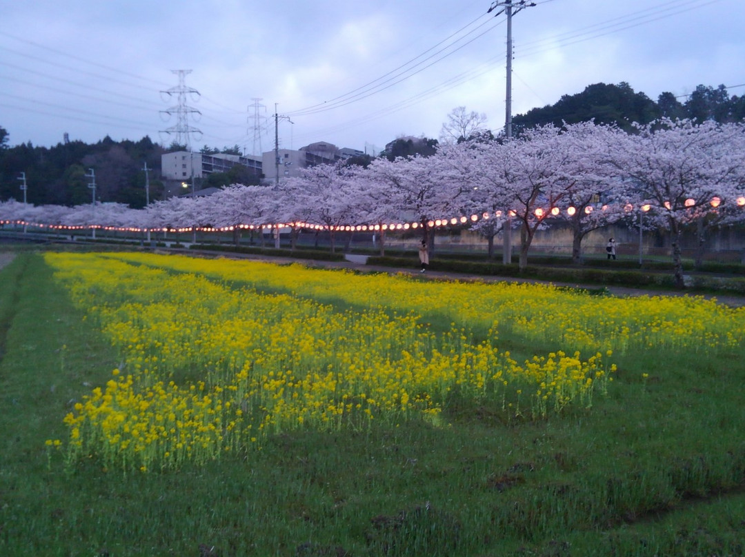 Hara Hirone Road-猪名川町必去景点