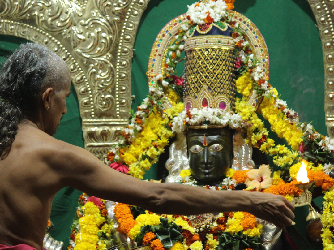 Gnana Saraswathi Temple景点图片