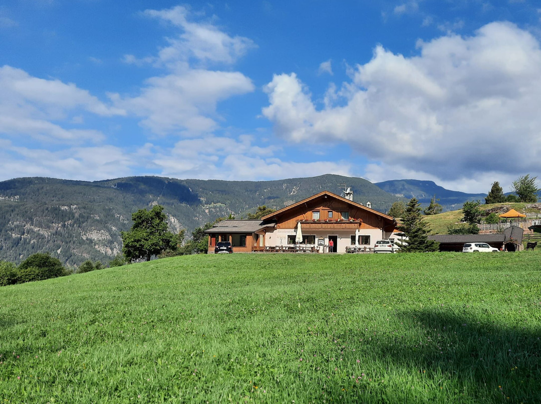 Saubach酒店住宿-B&B Gasthaus Lieg