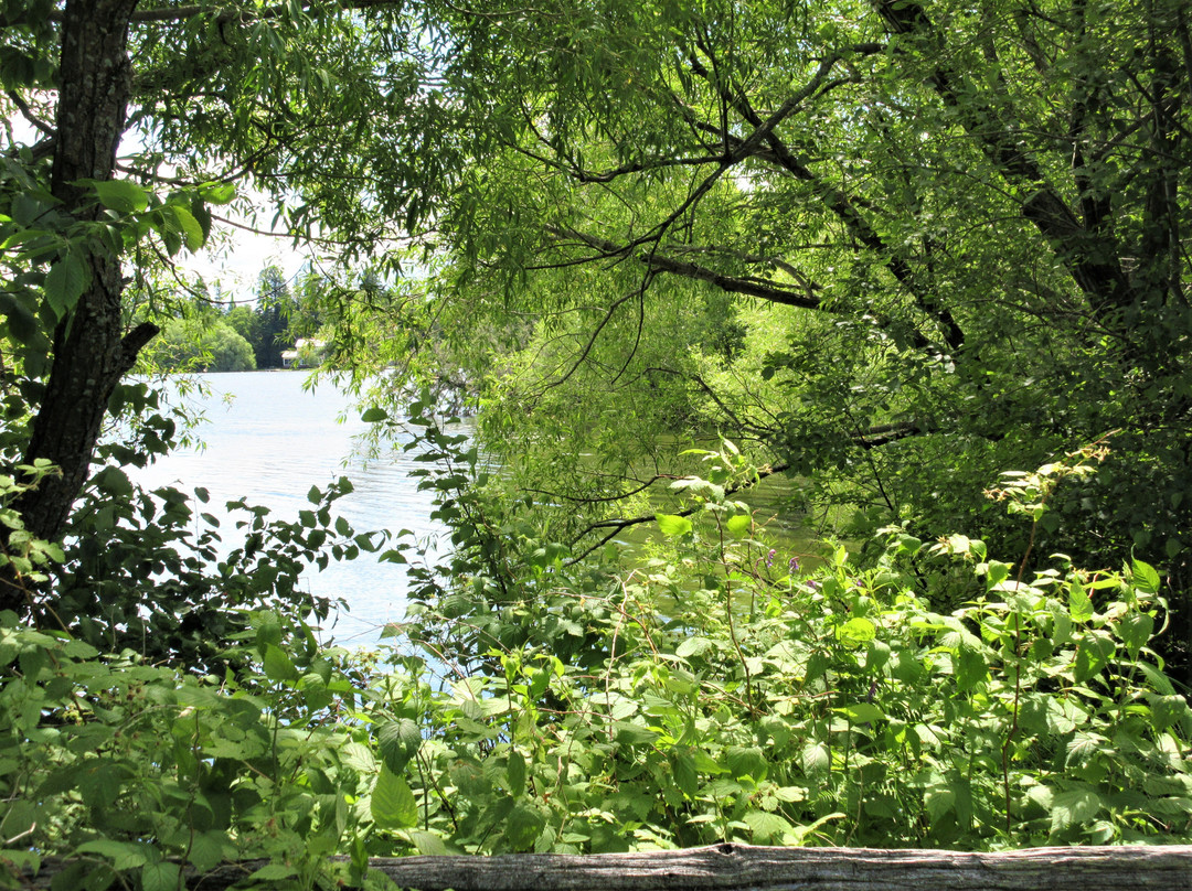 Arboretum De La Presqu'ile Croft景点图片