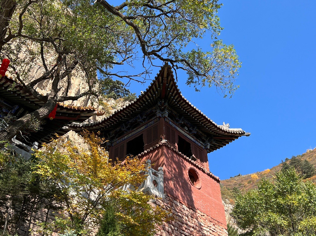 恒山森林公园-浑源县必去景点
