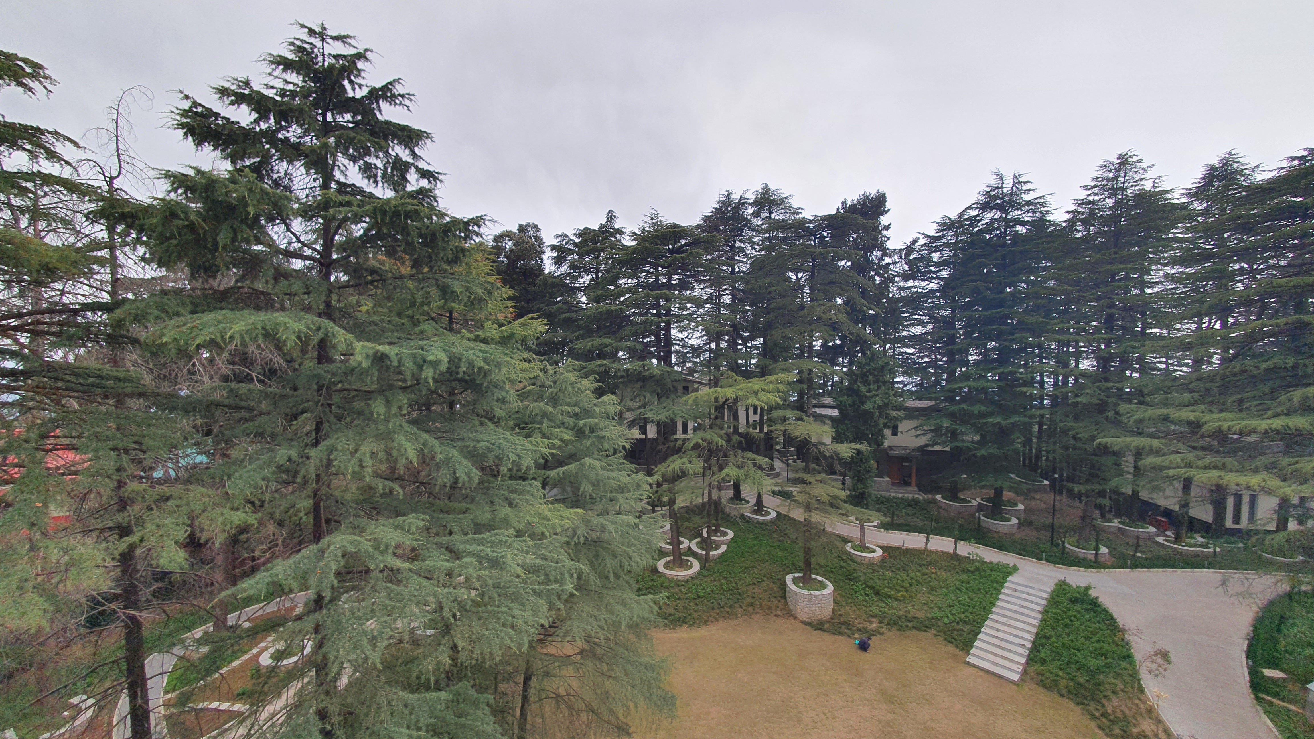 Hyatt Regency Dharamshala Resort-酒店景观