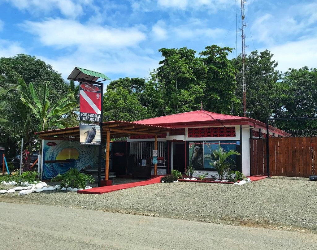 Costa Rica Dive and Surf景点图片