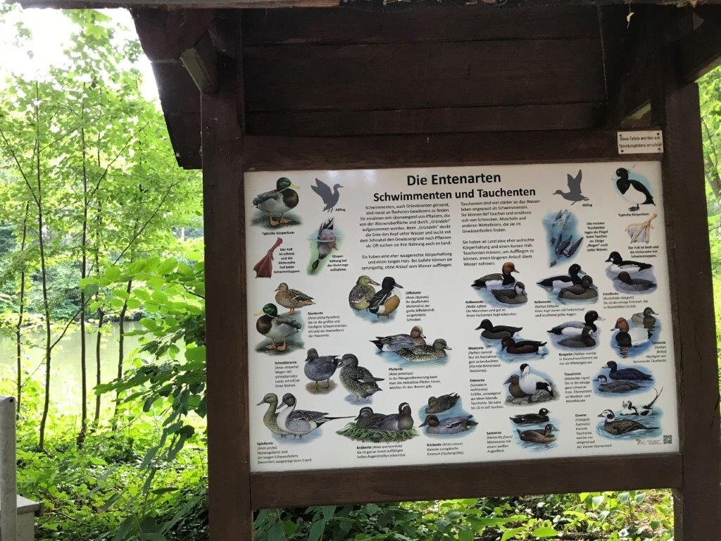 Tiergehege im Sahn Park-Crimmitschau必去景点