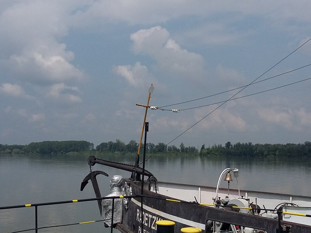 Complex Radetski主图