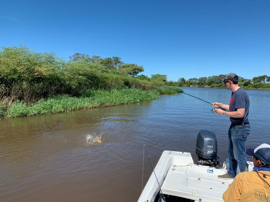 Fishing in Buenos Aires景点图片