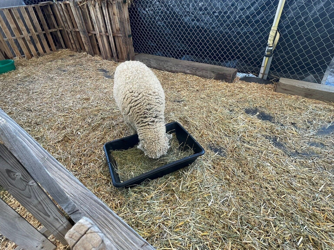 田中农场-尔湾必去景点