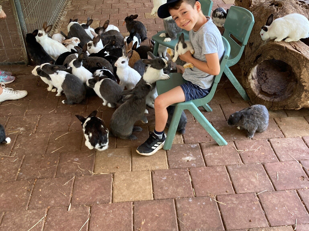 Countrylife Farm-戴士柏必去景点