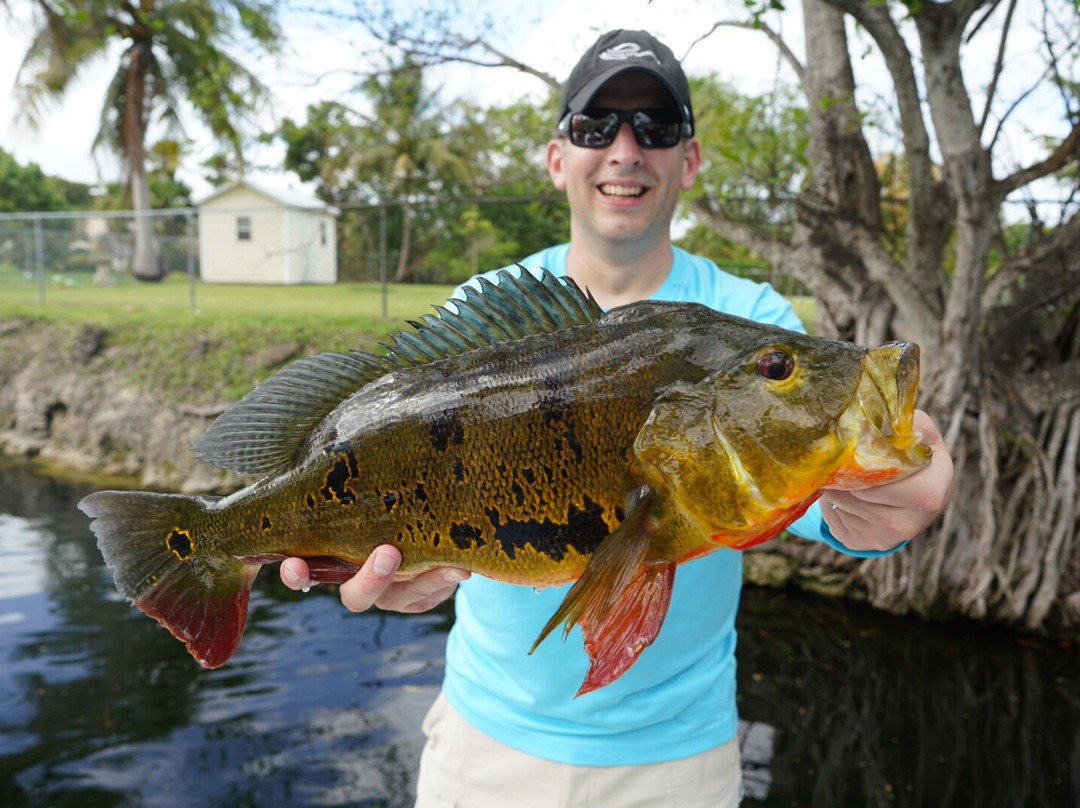 Miami Peacock Adventures - Day Tours-肯德尔必去景点