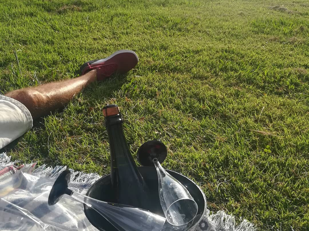 Vinos Uribelarrea景点图片