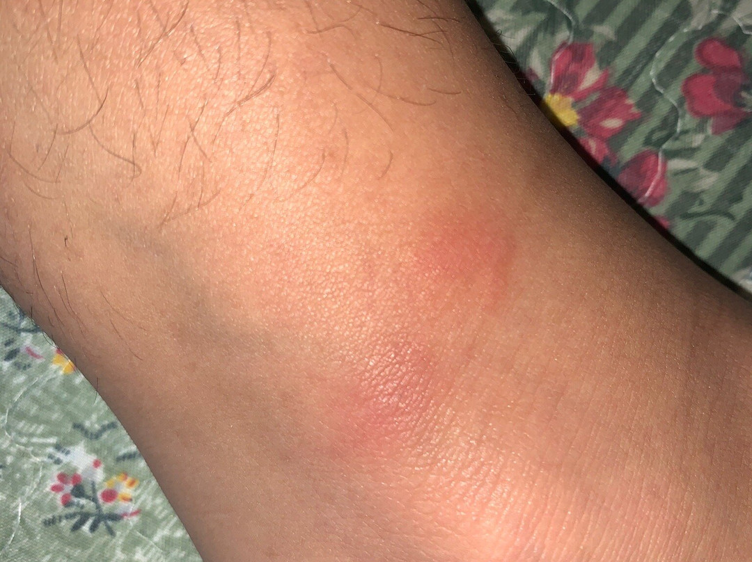 Pousada Portal Da Barra主图