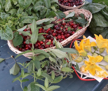 Carmiano旅游攻略图片