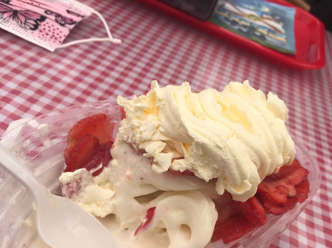 Parkesdale Farm Market-普兰特城必去景点