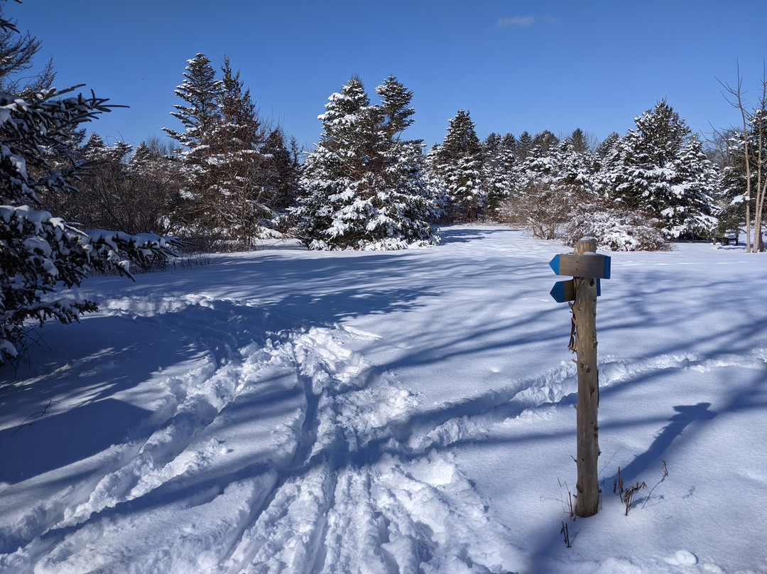 Spruce Acres Farm Trail-米德尔敦必去景点