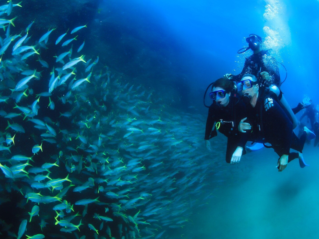 Ozeanity Experiences-卡波圣卢卡斯必去景点