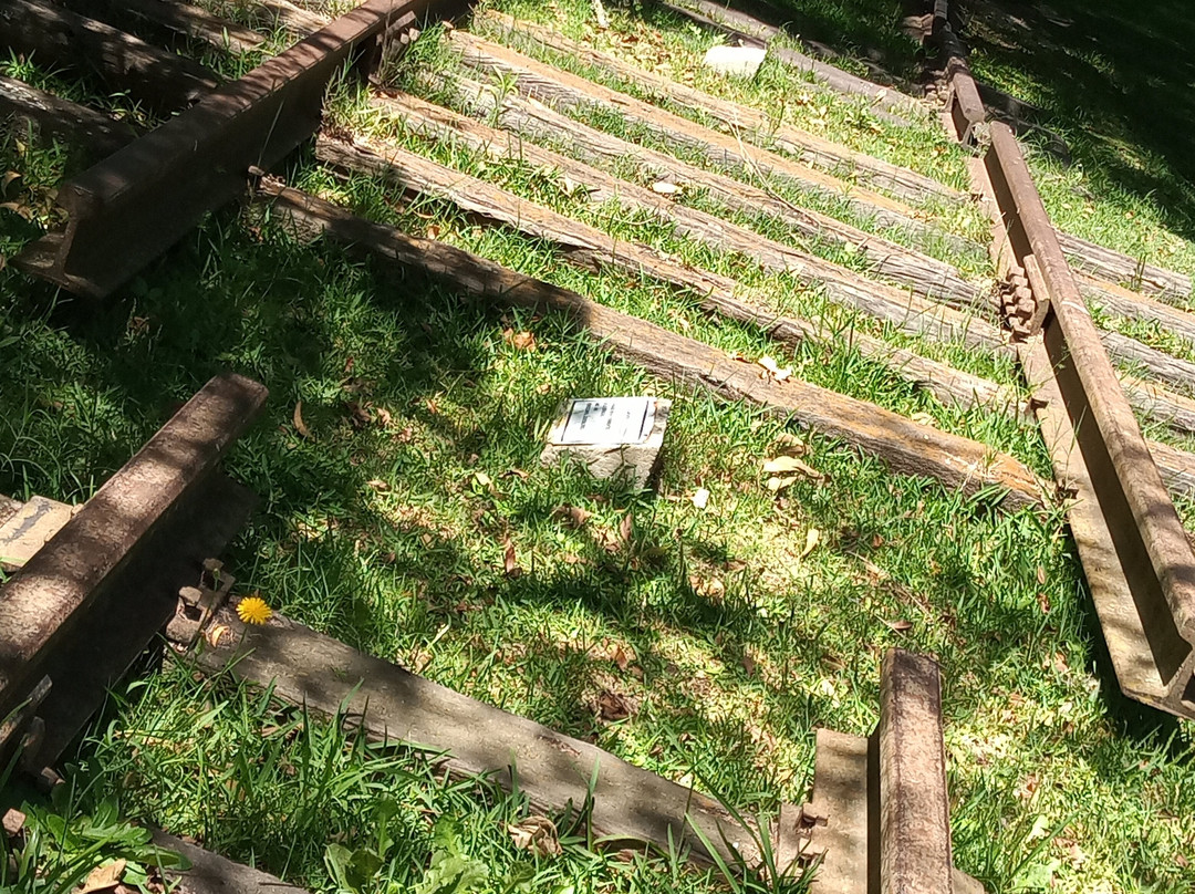 Museo Pampeano-查斯科木斯必去景点