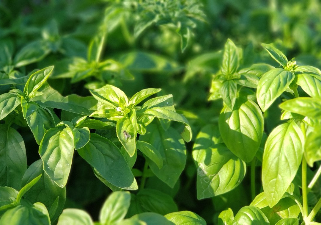 Rancho Cactimar Desert & Sea Eco-Ranch-拉巴斯必去景点