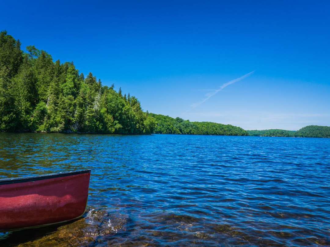Parc régional du Poisson Blanc-Notre-Dame-du-Laus必去景点