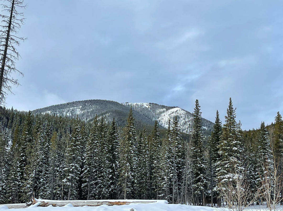 Elbow Falls Provincial Recreation Area景点图片
