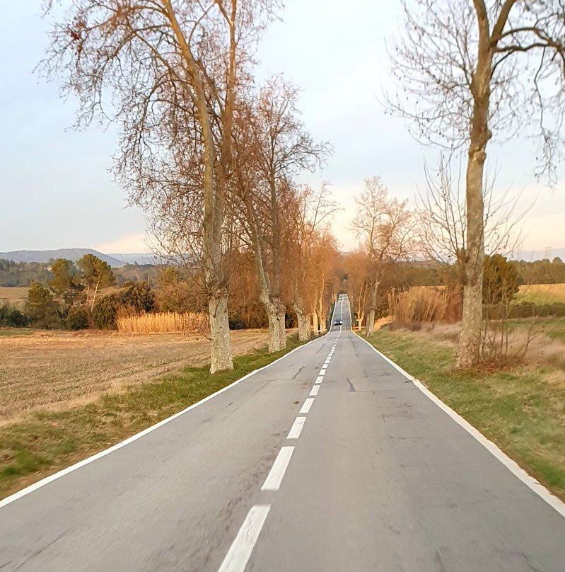Església Parroquial de Sant Martí de Tous-Sant Marti de Tous必去景点