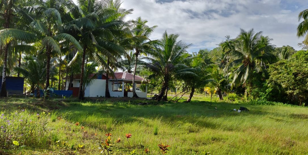 Hotel Exotica Squares主图