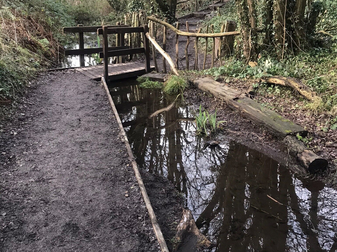 Churwell Woodland Railway-Morley必去景点