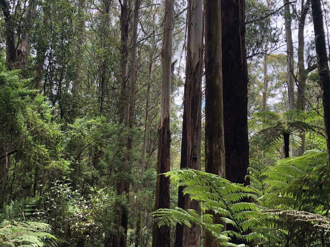 La La Falls-华伯登必去景点