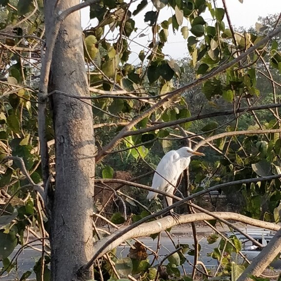 Kharghar Hills景点图片