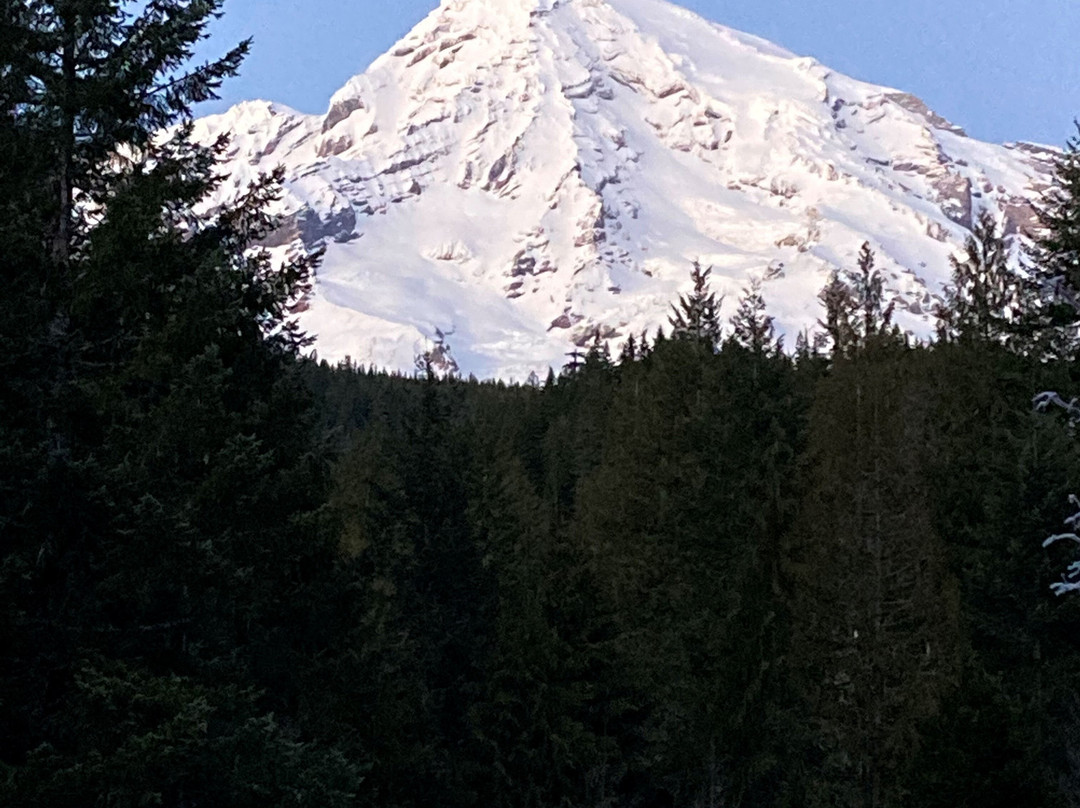 芒特雷尼尔国家公园酒店主图