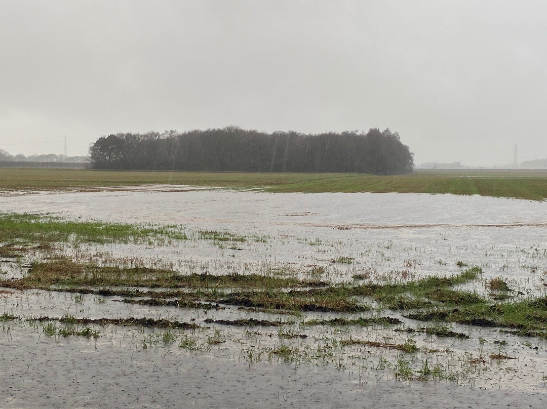 Siding Lane Local Nature Reserve-Rainford必去景点