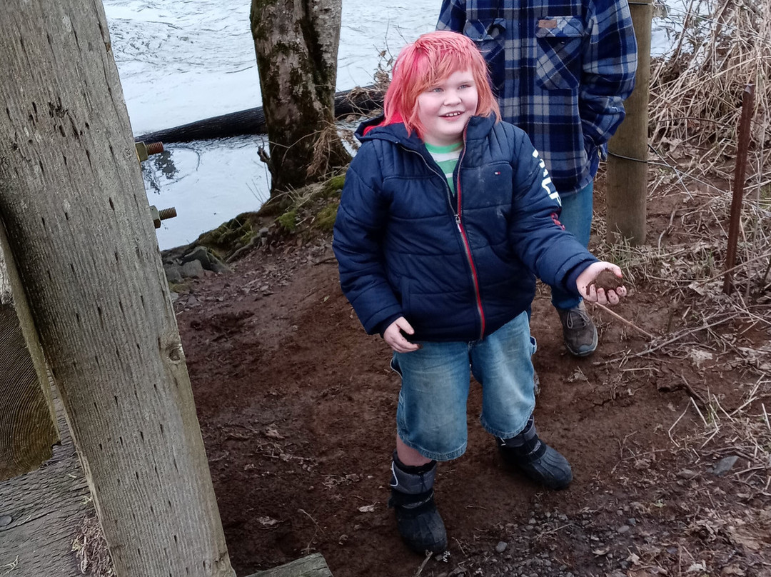 Grays River Covered Bridge-Grays River必去景点