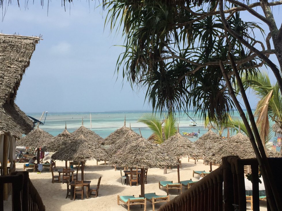 Kendwa Royal Palm-官方