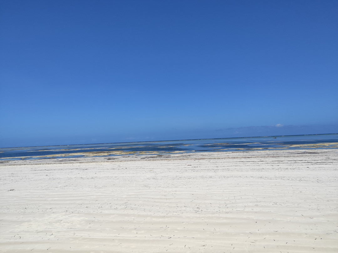 Mchanga Zanzibar主图