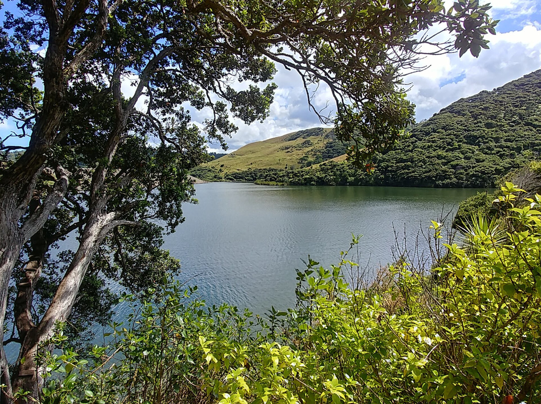 Lake Wainamu景点图片