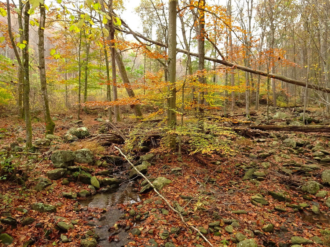 White Oak Canyon Trail-Syria必去景点