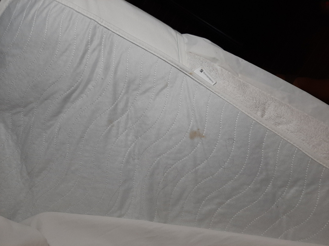 Best Western Temple Inn & Suites主图