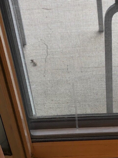 班福洛基山度假酒店主图