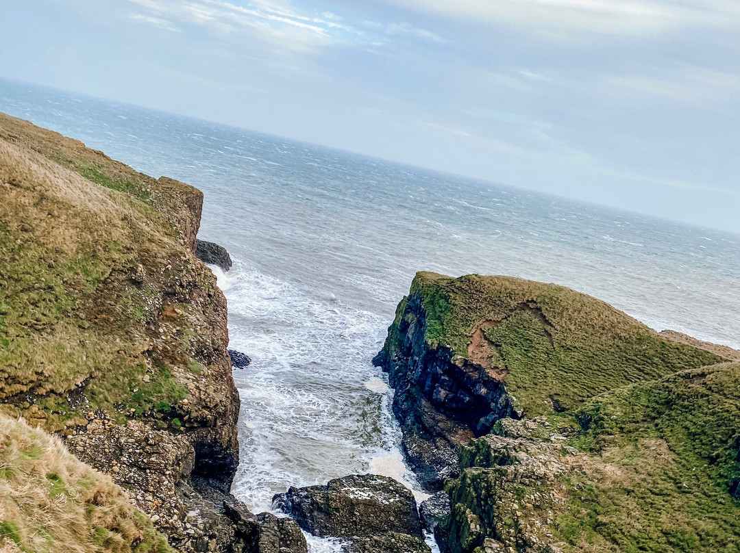 RSPB Fowlsheugh-斯通黑文必去景点