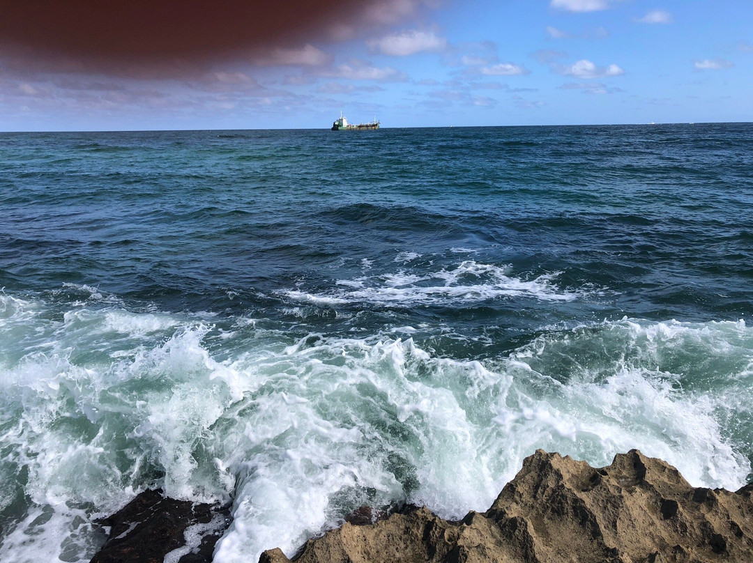 Ocean Reef Park-Riviera Beach必去景点