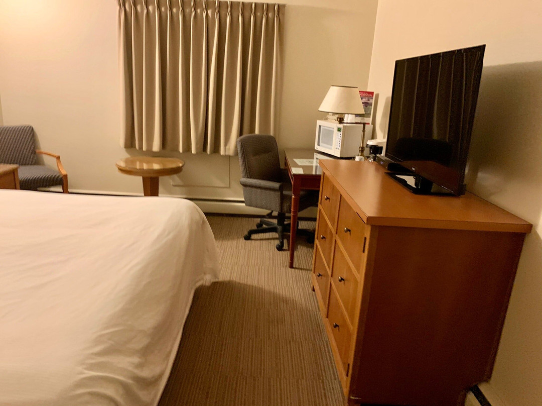 Twin Pine Motor Inn主图