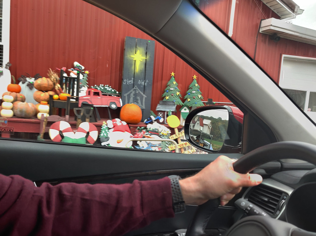 Old Order Amish Tours-Ronks必去景点