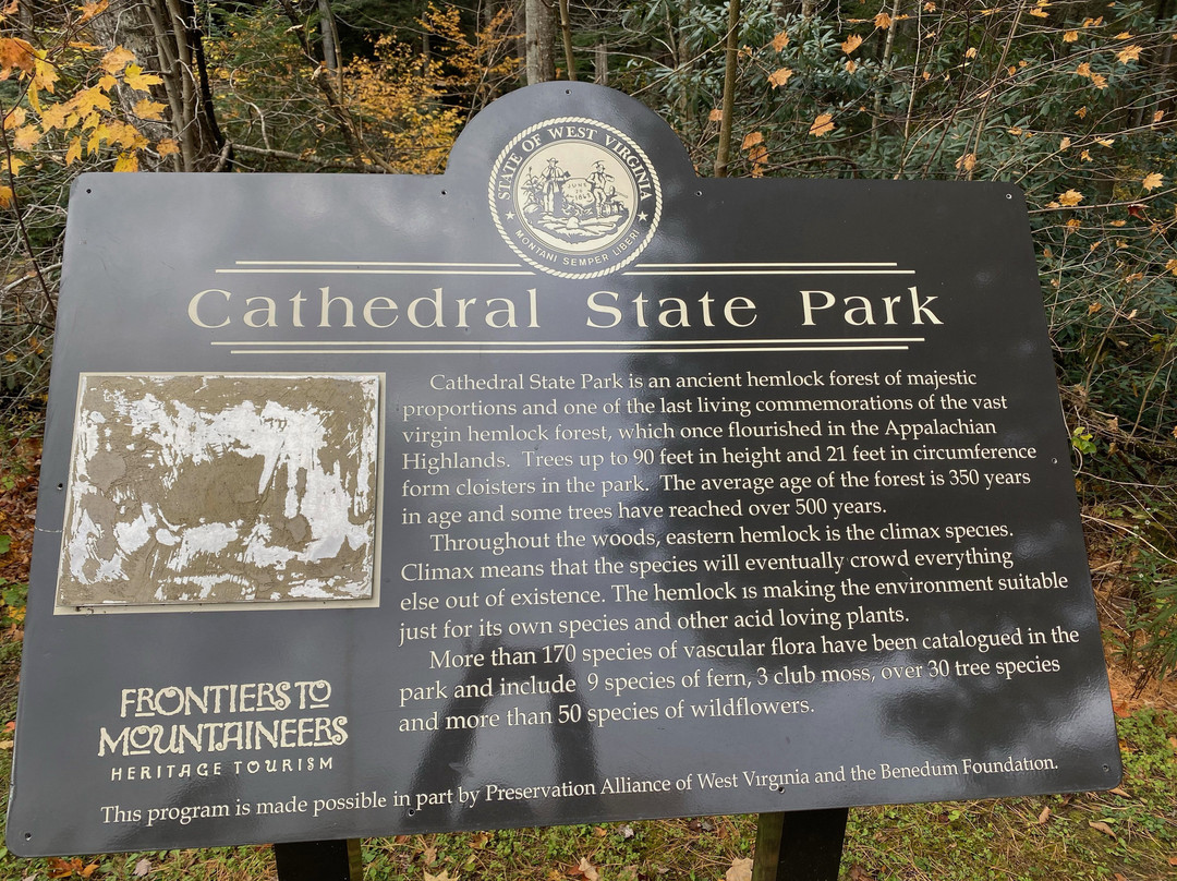 Cathedral State Park景点图片
