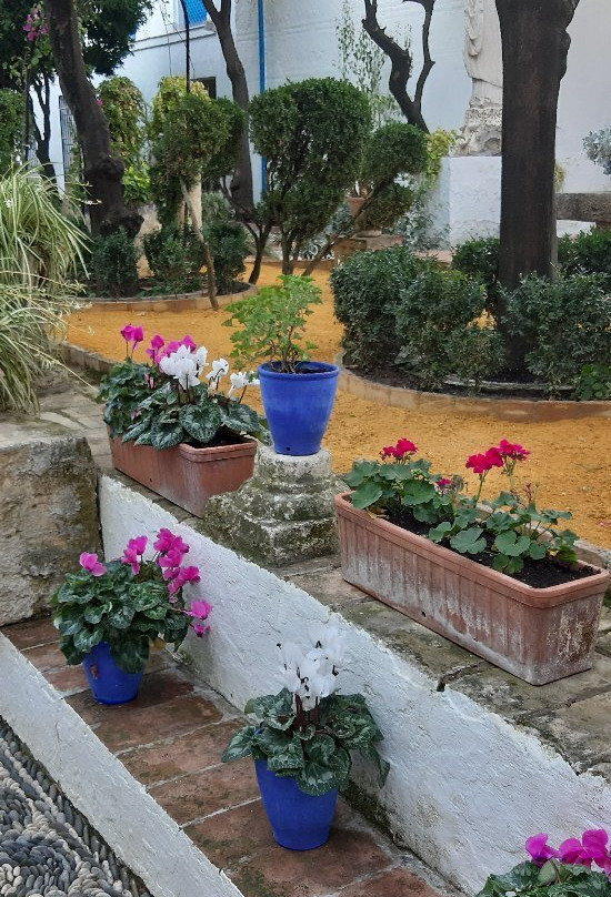 Museo Julio Romero De Torres-科尔多瓦必去景点