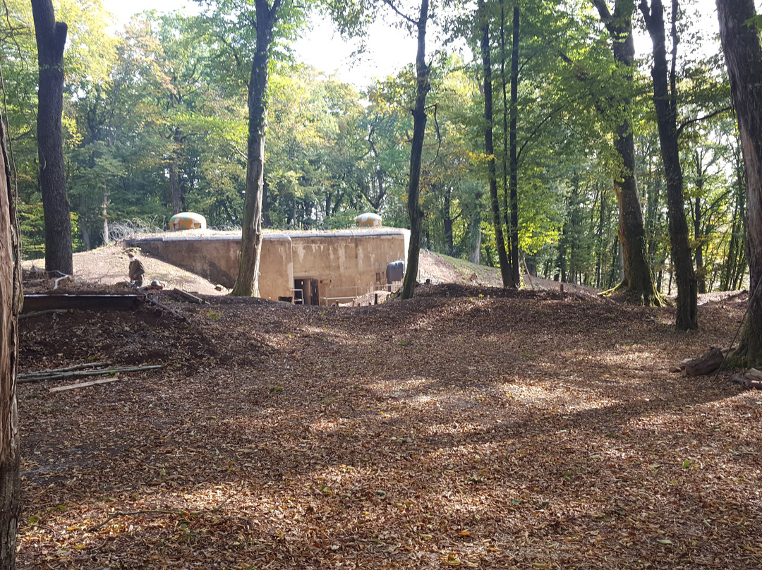 Casemates du Huberbusch - 164e RIF (Ligne Maginot)-Chemery-les-Deux必去景点