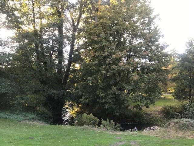 Hotel Am Boehmepark主图