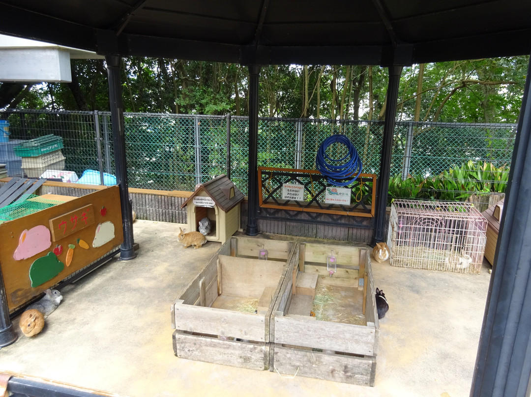 Satsukiyama Zoo-池田市必去景点