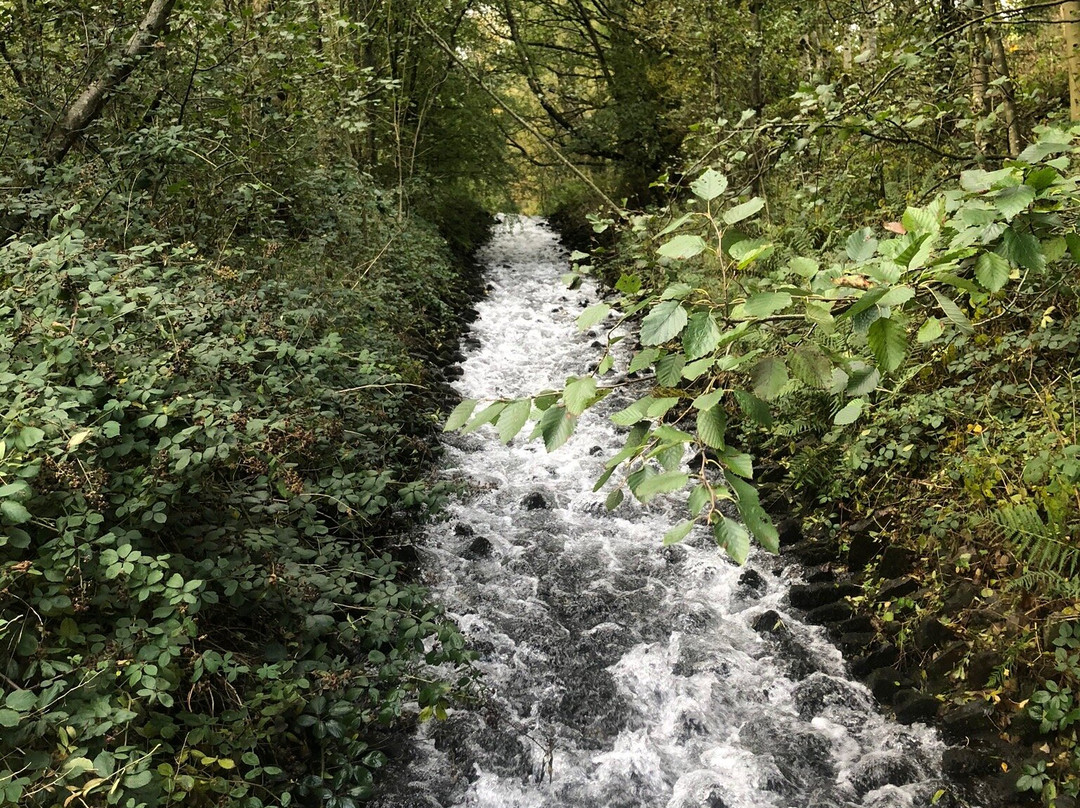 Cwmtillery Lakes景点图片