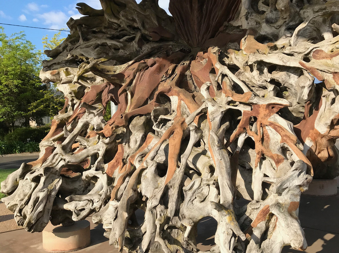 The Phoenix Tree-Myrtleford必去景点