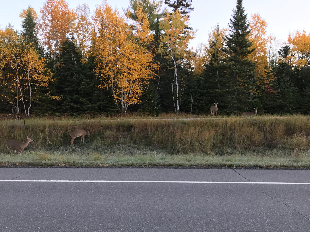 Rainy Lake Visitor Center景点图片